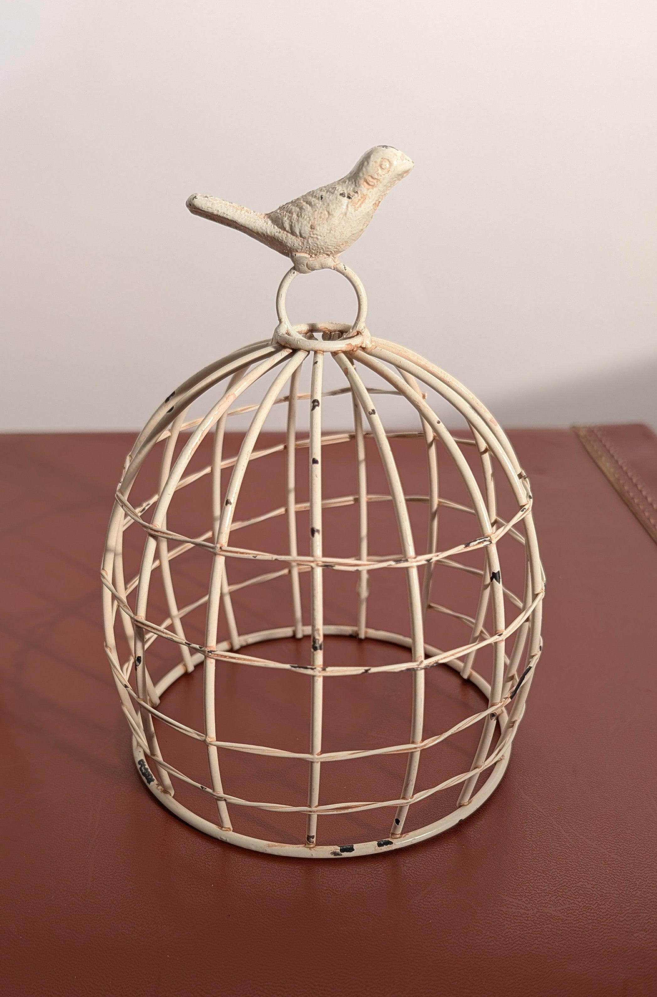Small Bird Cloche