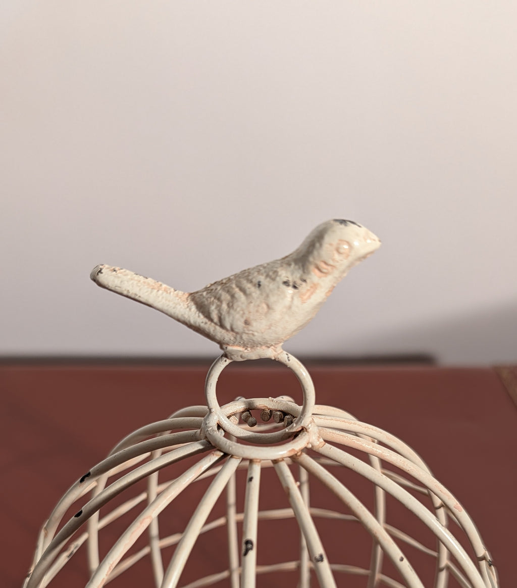 Small Bird Cloche