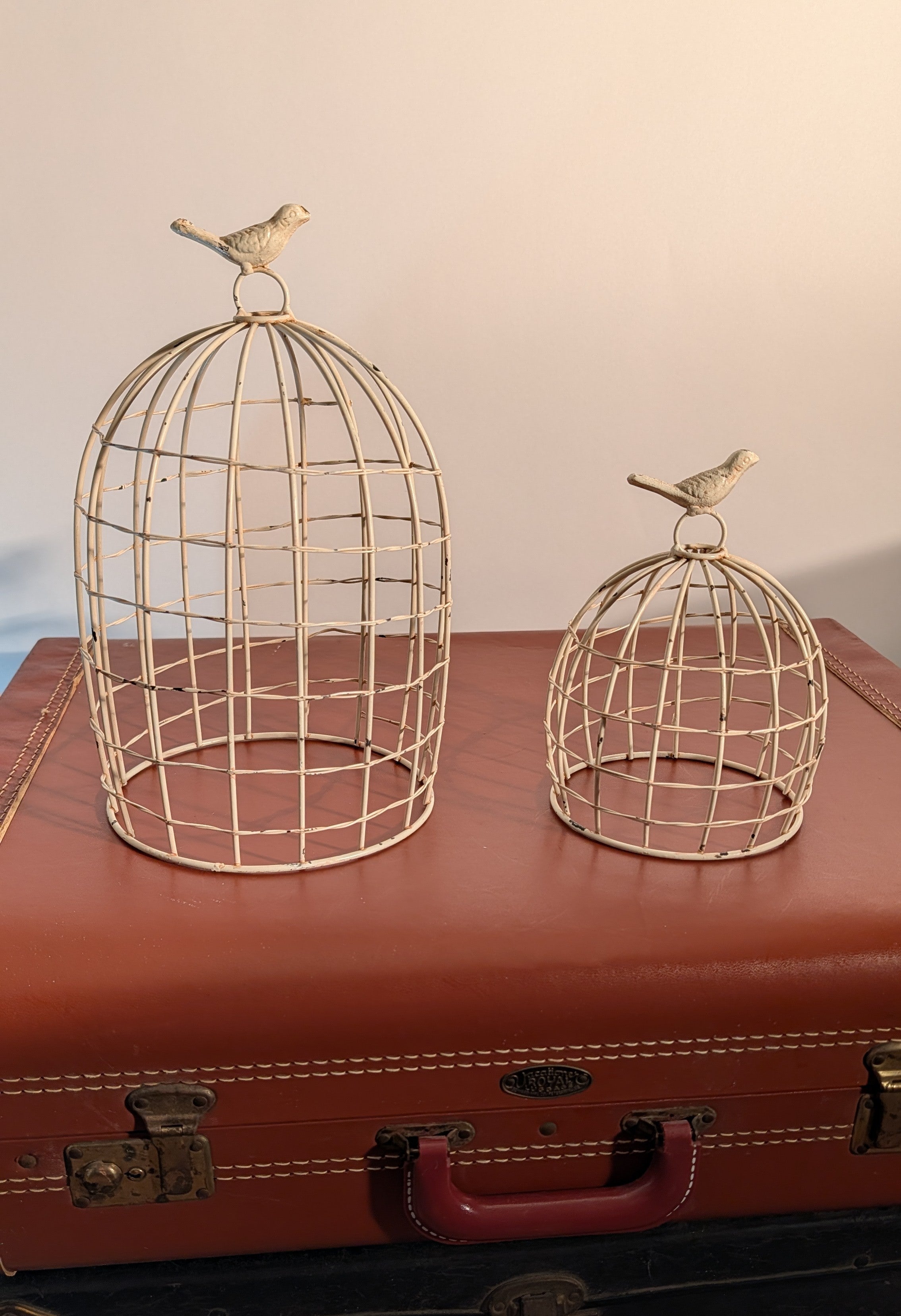 Small Bird Cloche
